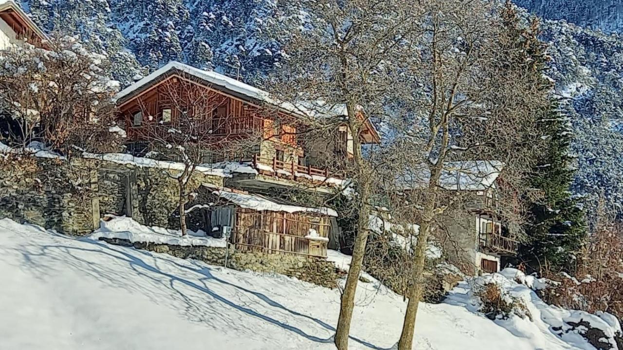 Eco Chalet Maison Dominique Affittacamere